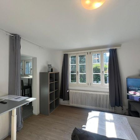 House On Historic City Wall - Freihofapartments بروغ المظهر الخارجي الصورة