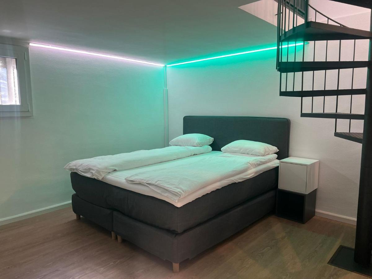 House On Historic City Wall - Freihofapartments بروغ المظهر الخارجي الصورة