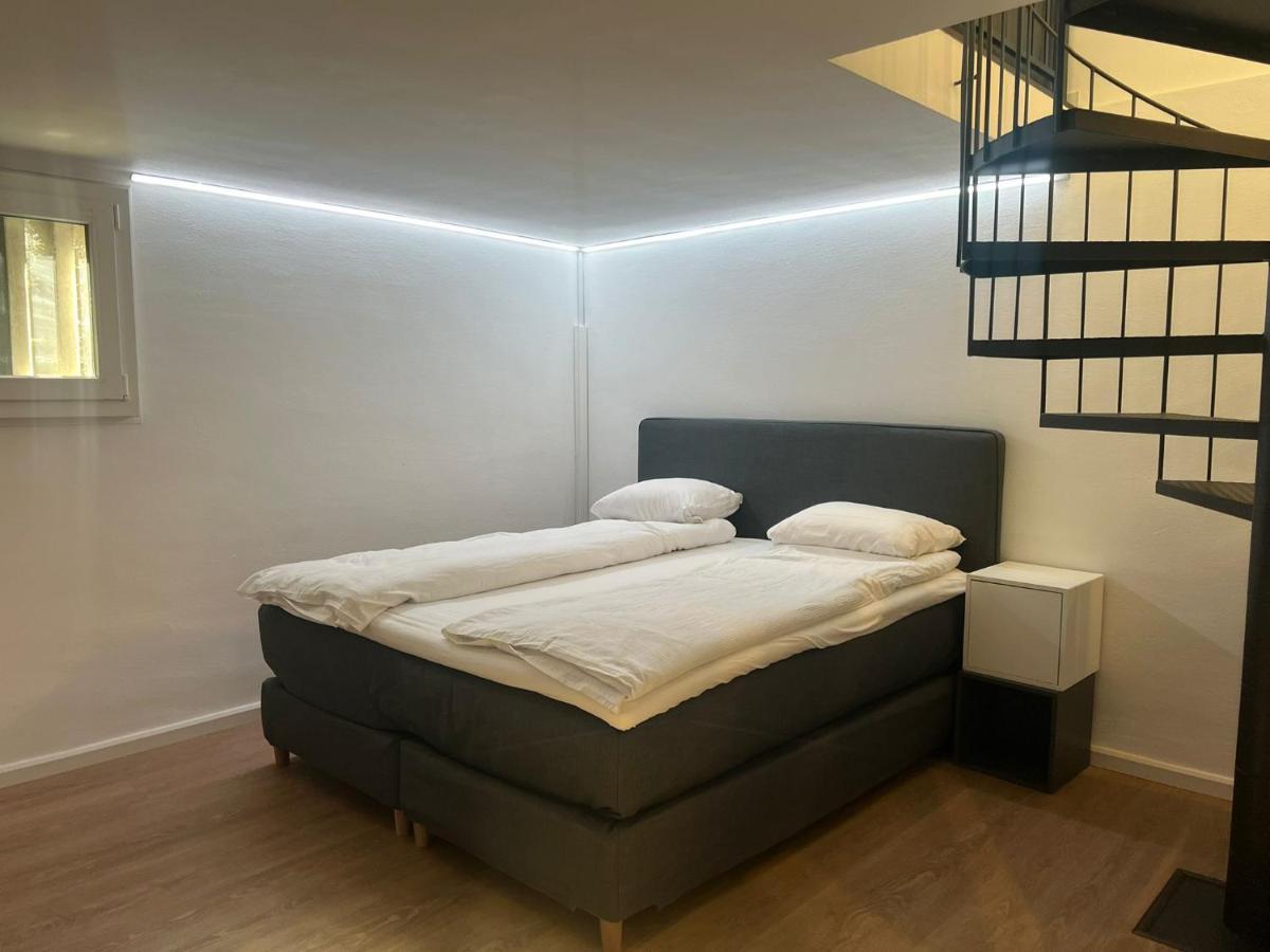 House On Historic City Wall - Freihofapartments بروغ المظهر الخارجي الصورة