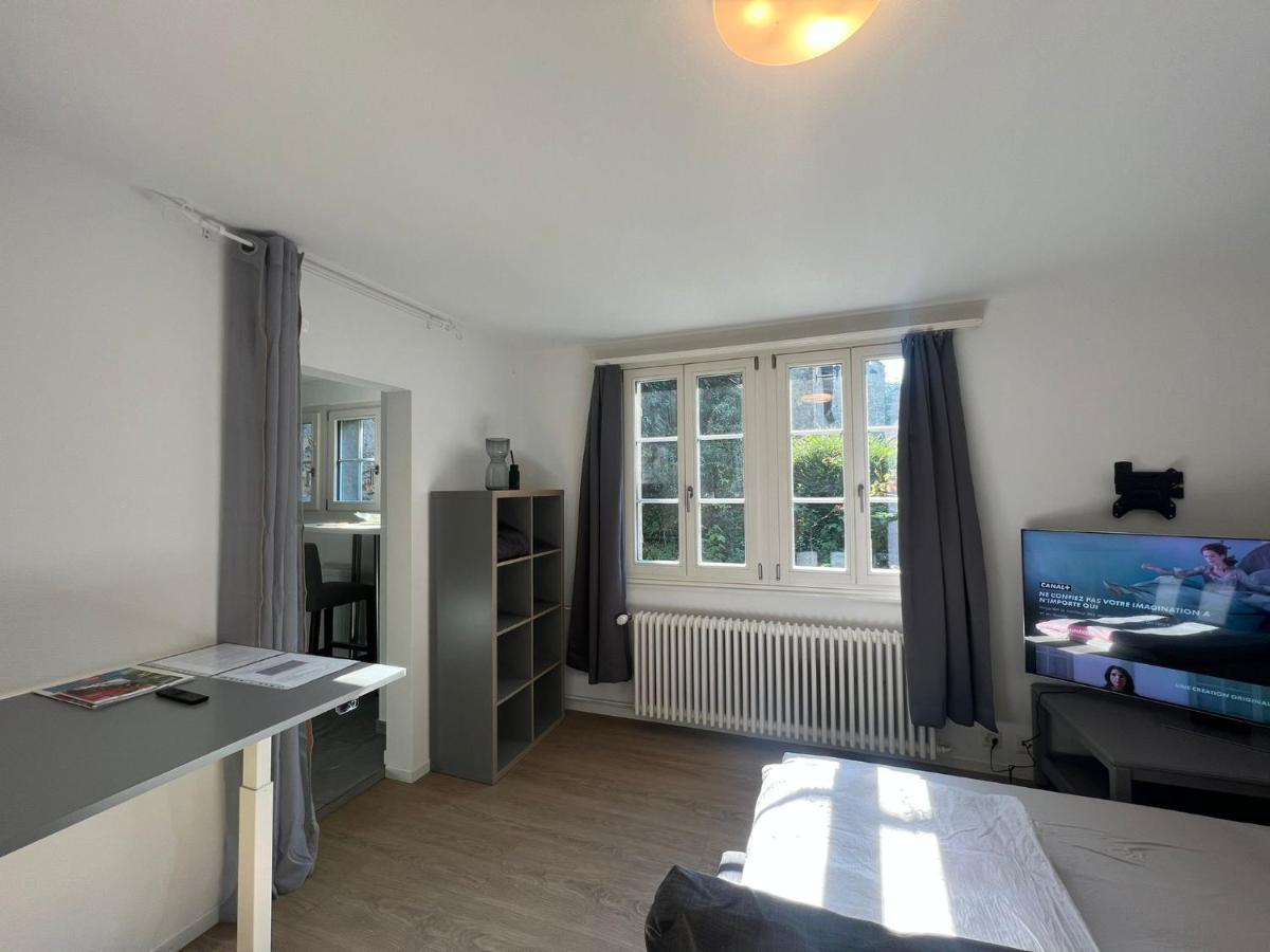 House On Historic City Wall - Freihofapartments بروغ المظهر الخارجي الصورة