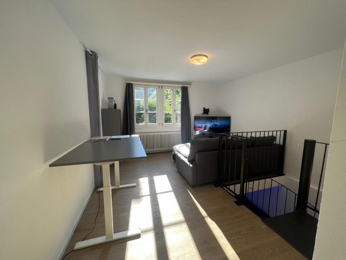 House On Historic City Wall - Freihofapartments بروغ المظهر الخارجي الصورة