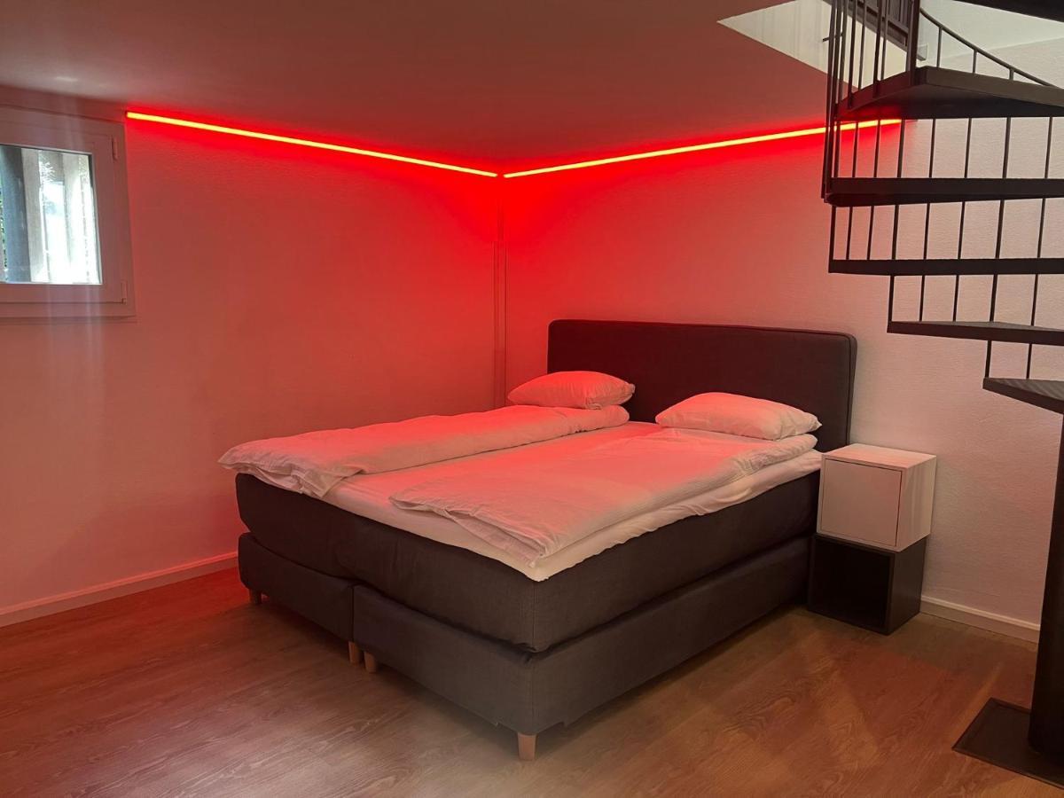House On Historic City Wall - Freihofapartments بروغ المظهر الخارجي الصورة